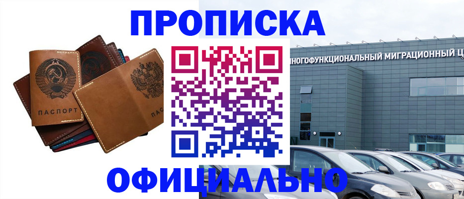 прописка в квартире в Чкаловске